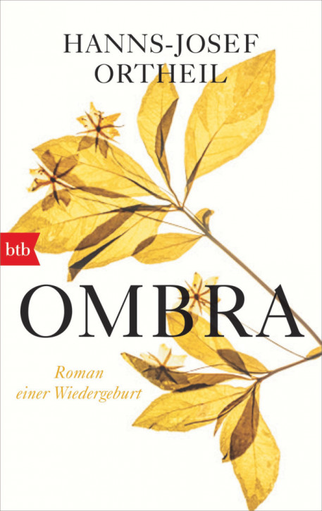 Ombra - Roman einer Wiedergeburt