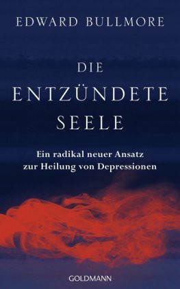 Die entzuendete Seele