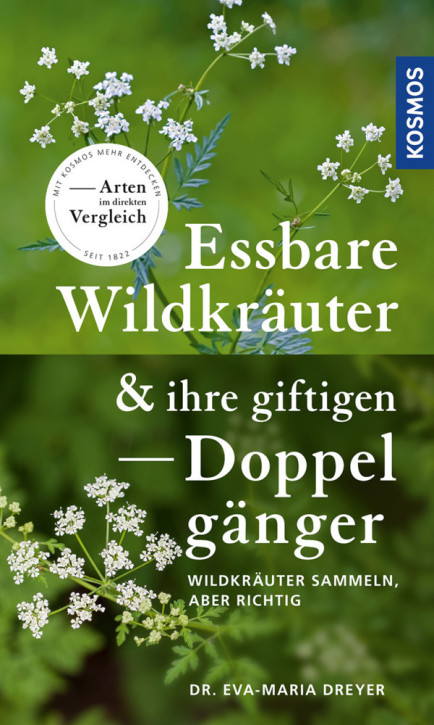 Essbare Wildkräuter & ihre giftigen Doppelgänger