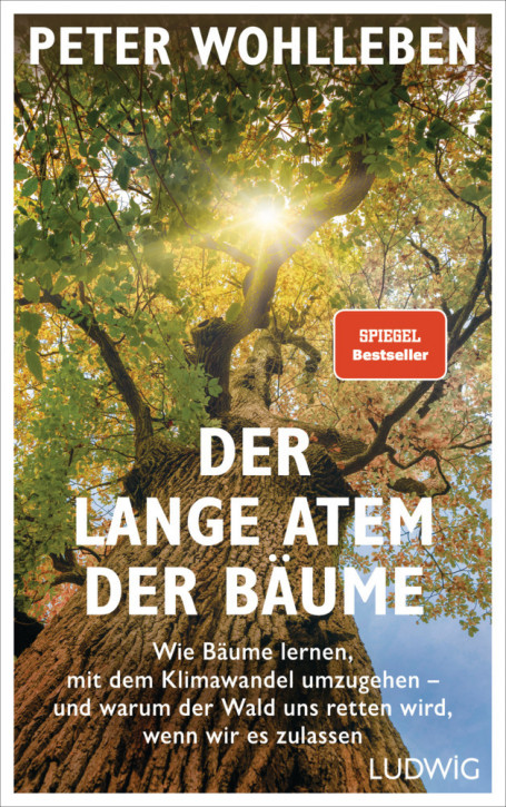 Der lange Atem der Bäume