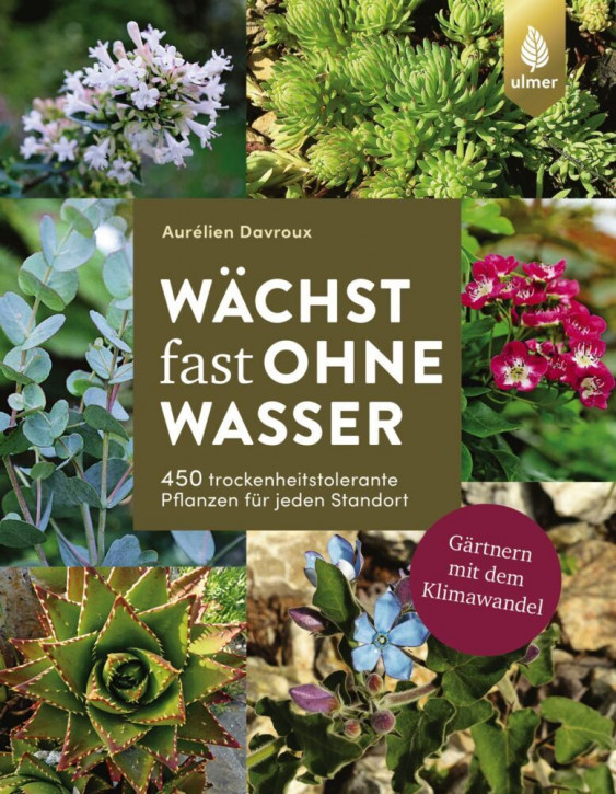 Wächst fast ohne Wasser - 450 trockenheitstolerante Pflanzen für jeden Standort